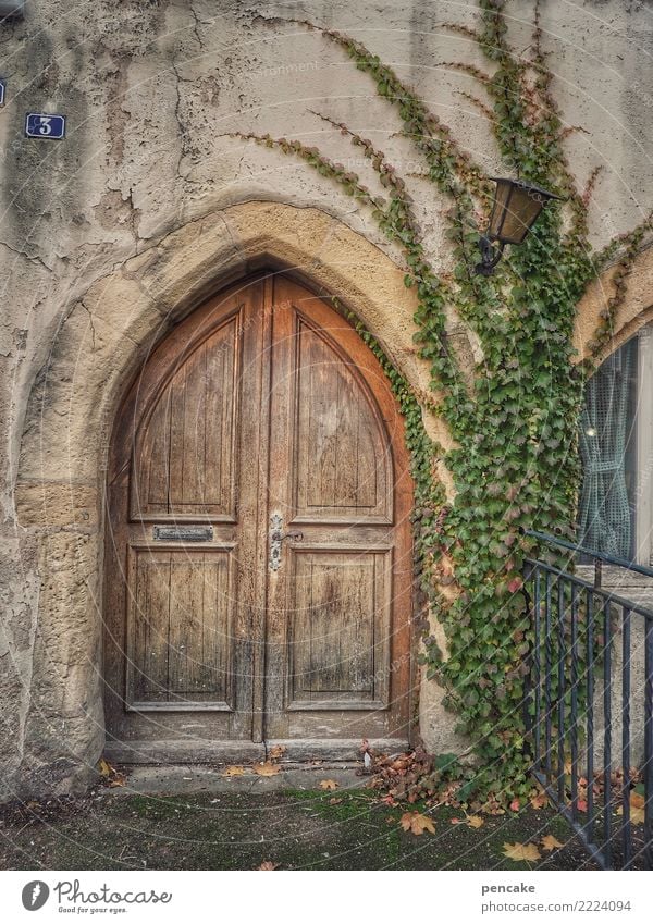 dominus vobiscum? Plant Old town Church Building Architecture Wall (barrier) Wall (building) Facade Door Historic Gothic period Wooden door Ivy 3 Alsace