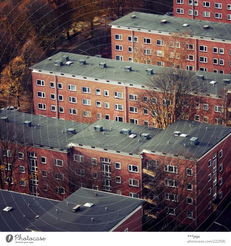 portrait of an urban landscape. Hamburg Town Populated House (Residential Structure) Manmade structures Building Architecture Narrow Sharp-edged