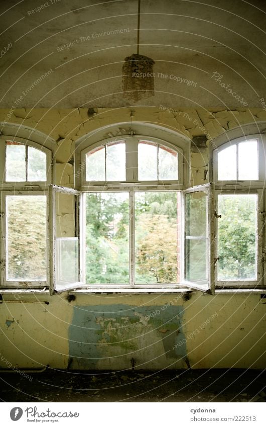 open Lamp Room Window Calm Stagnating Decline Past Transience Change Open Colour photo Interior shot Deserted Day Light Shadow Contrast Shallow depth of field