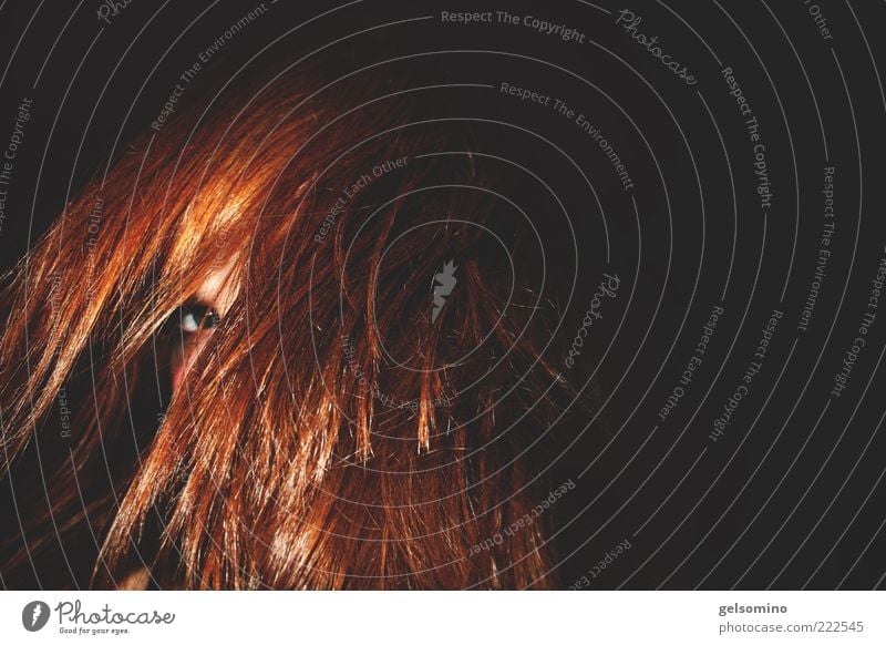 Face in hair Feminine Hair and hairstyles Eyes 1 Human being Red-haired Long-haired Brash Colour photo Interior shot Copy Space right Flash photo Looking