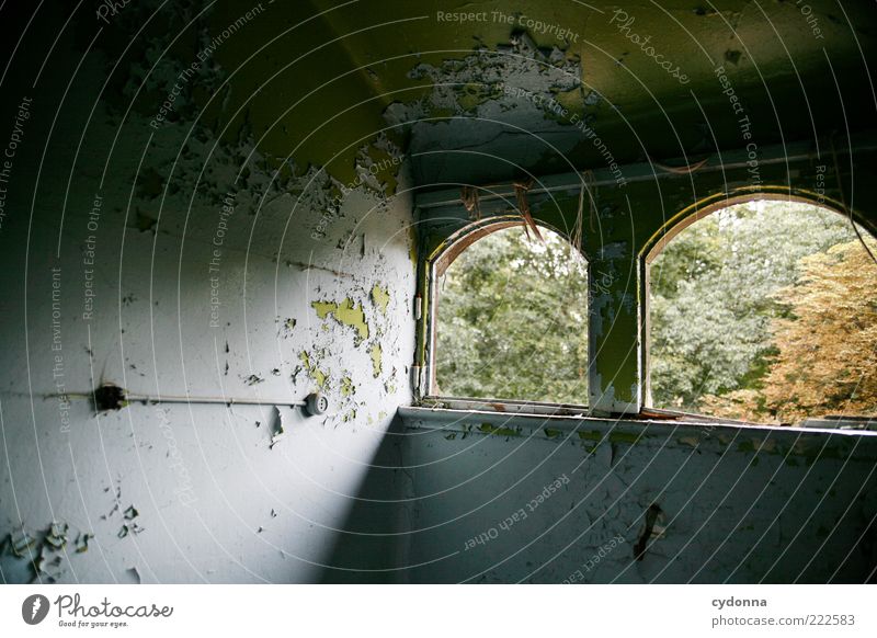 Trace of autumn Room Forest House (Residential Structure) Wall (barrier) Wall (building) Window Esthetic Loneliness Uniqueness Mysterious Life Calm Beautiful