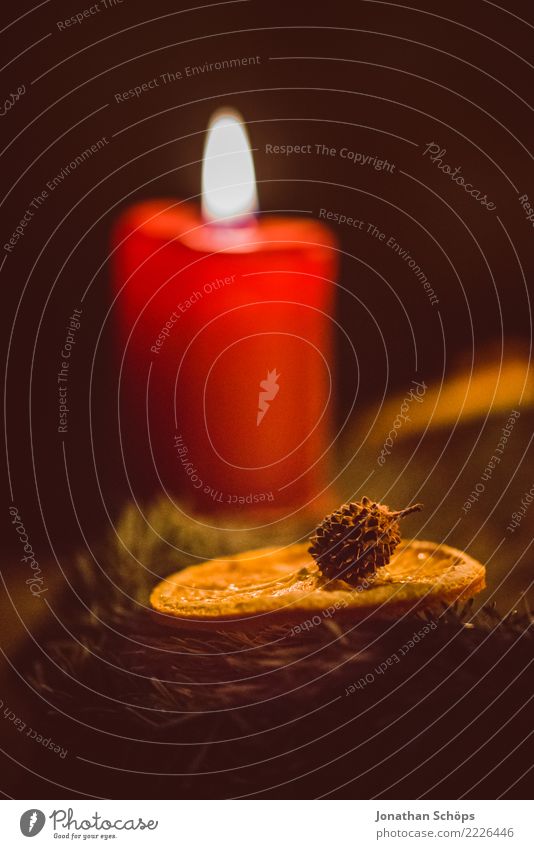 Christmas Candle I Christmas & Advent Christmas wreath Detail Candlewick Wick Flame Light Macro (Extreme close-up) Close-up Large Moody Tradition Wax Cinnamon