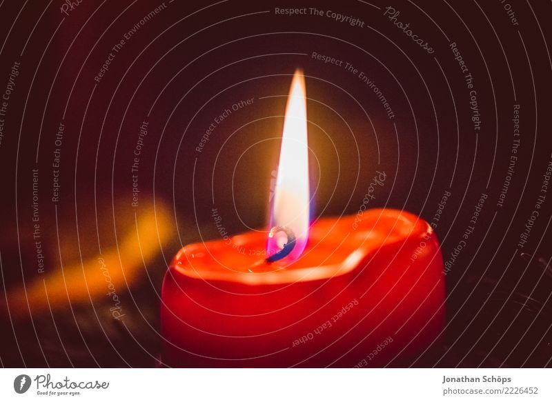 Christmas candle III Christmas & Advent Christmas wreath Detail Candlewick Flame Light Macro (Extreme close-up) Close-up Moody Tradition Wax Pensive Burn