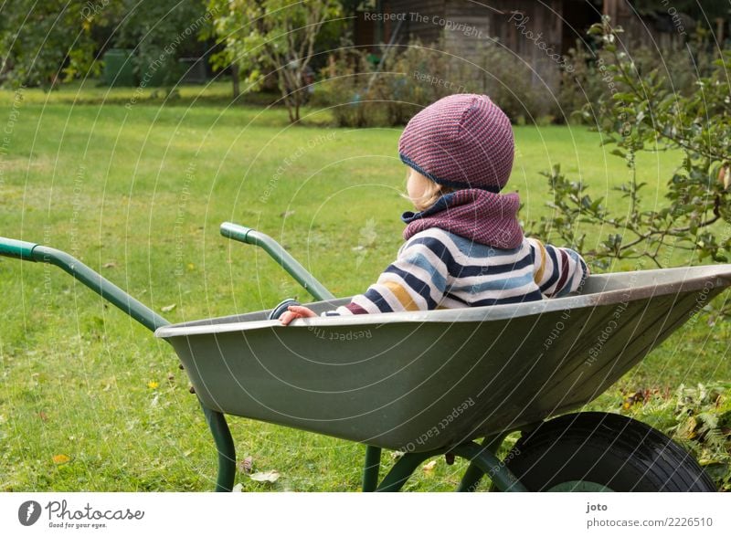 Child sitting in a wheelbarrow in the garden Joy Contentment Leisure and hobbies Children's game Garden Gardening Toddler 1 - 3 years Autumn Meadow Sweater Cap