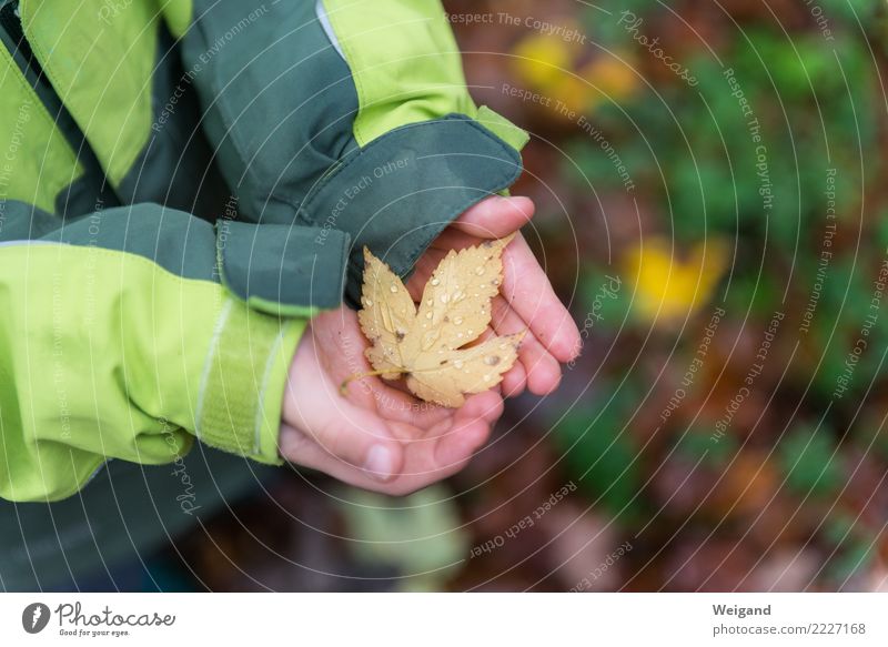 comforting leaf Harmonious Well-being Contentment Senses Relaxation Meditation Kindergarten Child Study Agriculture Forestry Toddler Infancy 1 Human being