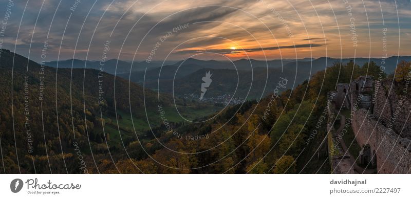 Palatinate Forest Tourism Sightseeing Mountain Hiking Nature Landscape Sky Clouds Horizon Sun Sunrise Sunset Autumn Weather Tree Hill Rock Peak