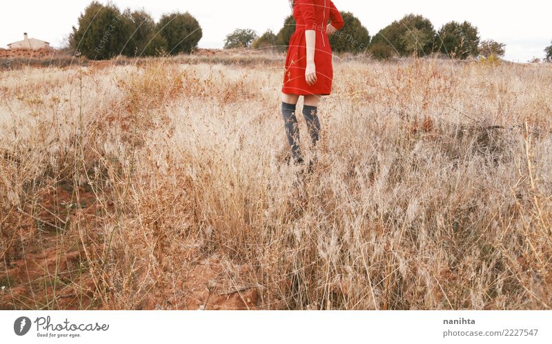 Young woman in a field of dry plants Lifestyle Style Joy Human being Feminine Youth (Young adults) 1 18 - 30 years Adults Environment Nature Landscape Summer