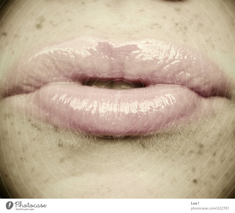 kiss Feminine Mouth Lips Freckles Lipgloss Pink Subdued colour Interior shot Detail Day Light Pout Copy Space bottom Copy Space top