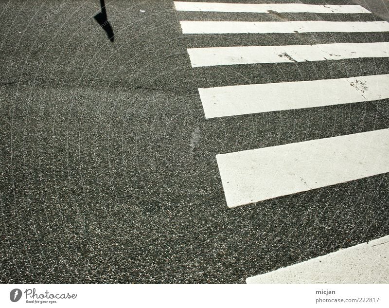 Incognito Unknown destination Deserted Traffic infrastructure Safety Symmetry Lanes & trails Zebra crossing Street Stripe Shadow Asphalt Pedestrian crossing