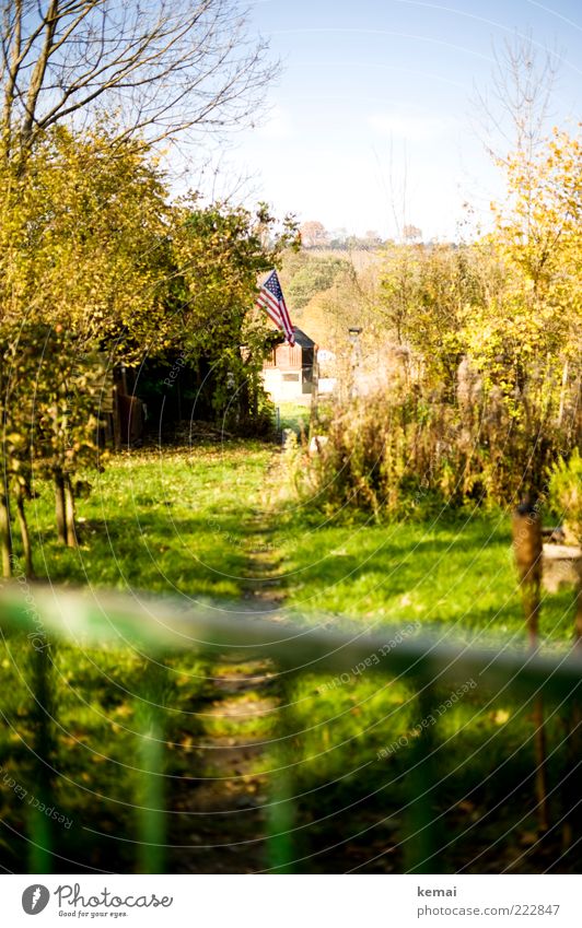 fly the flag Plant Sky Sunlight Autumn Beautiful weather Tree Grass Bushes Garden Garden plot Flag USA Americas Green Patriotism patriotically Garden fence