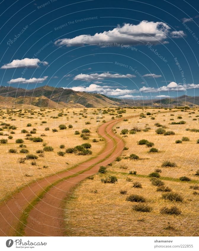 Road to a wild floor Exotic Vacation & Travel Trip Freedom Summer Sun Mountain Environment Nature Landscape Plant Sky Clouds Horizon Tree Grass Meadow Hill