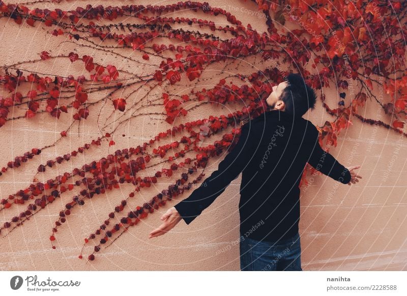 Young man in front of a wall full of red leaves Style Design Exotic Human being Masculine Youth (Young adults) 1 18 - 30 years Adults Art Nature Plant Autumn