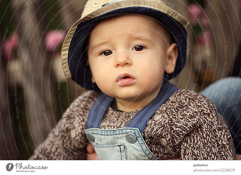 little farmerboy Human being Child Infancy Face 0 - 12 months Baby Autumn Beautiful Cute Brown Trust Safety Boy (child) Farmer kindermode pausbacken