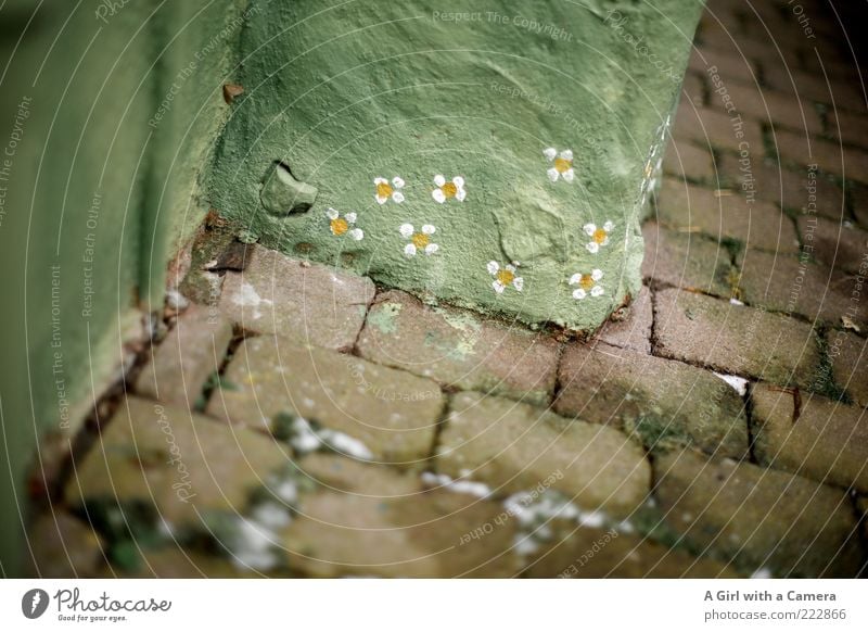 almost like spring Art Work of art Winter Snow Flower Daisy Wall (barrier) Wall (building) Stone Sign Graffiti Exceptional Friendliness Happiness Cute Crazy