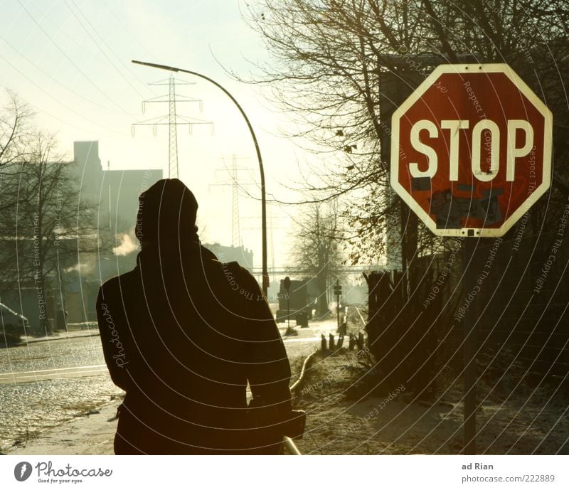 You're not getting in here! Masculine Man Adults 1 Human being Ice Frost Bright Cold Colour photo Road sign Stop sign Tree Twigs and branches Leafless Winter