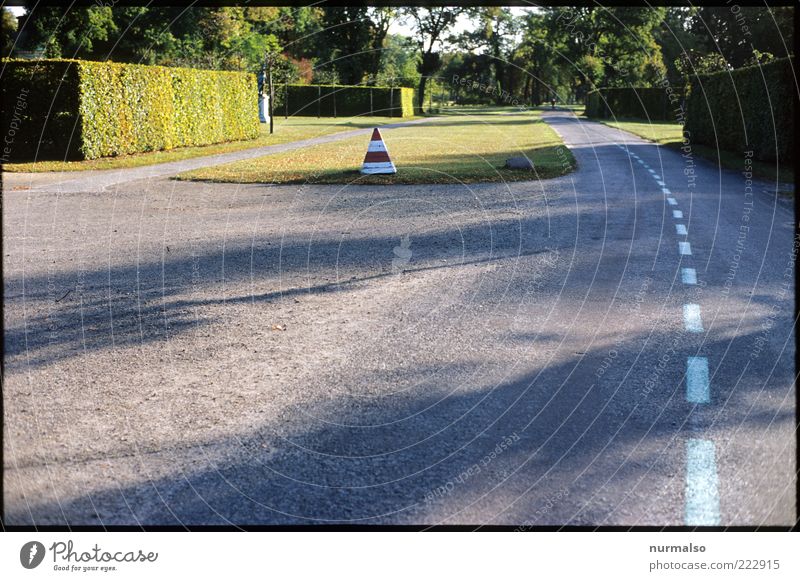 parking lane Lifestyle Environment Nature Beautiful weather Plant Tree Bushes Foliage plant Hedge Meadow Potsdam Lanes & trails Sign Road sign Breathe To enjoy