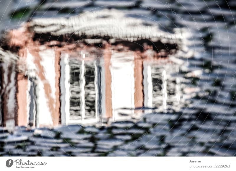 look in Elements Water Small Town Old town Half-timbered house Half-timbered facade Facade Street Cobblestones Pavement Puddle Reflection Esthetic Wet Gray Pink