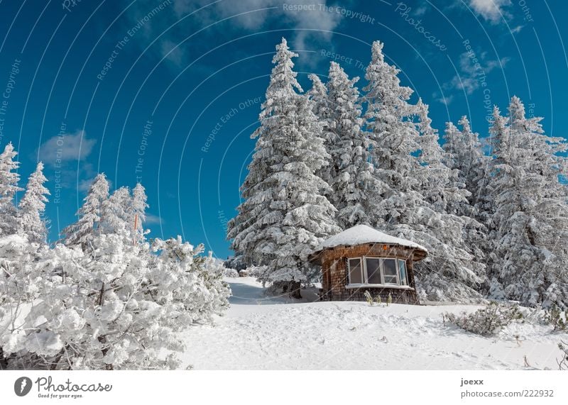 roadhouse Nature Landscape Sky Winter Beautiful weather Snow Tree Alps Mountain Deserted Hut Large Cold Blue White Calm Berchtesgaden Alpes sermon chair