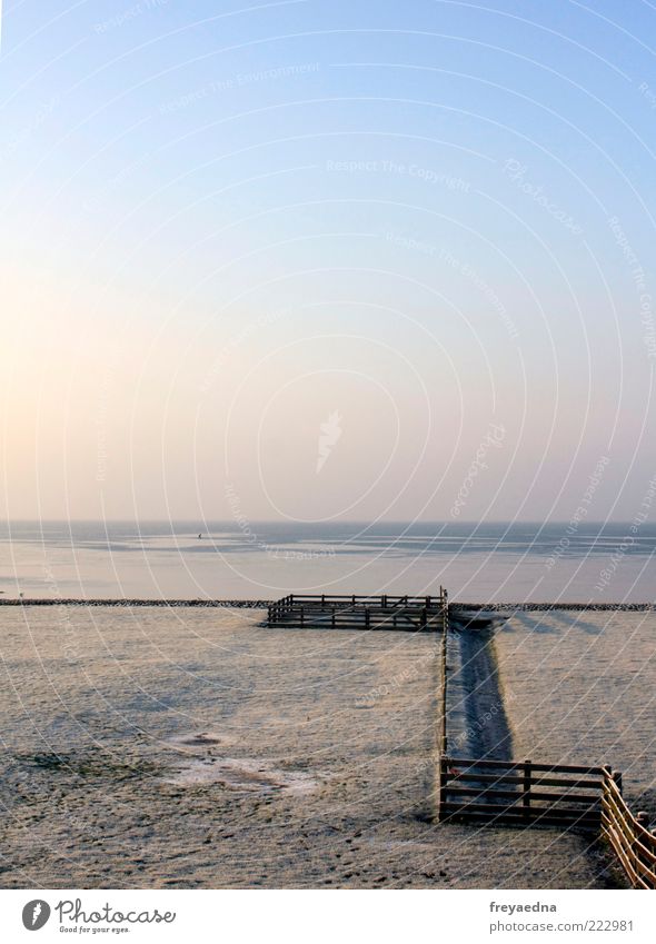 winter pasture Far-off places Freedom Ocean Winter Snow Nature Landscape Water Sky Cloudless sky Ice Frost Coast North Sea Simple Natural Blue Pink Longing