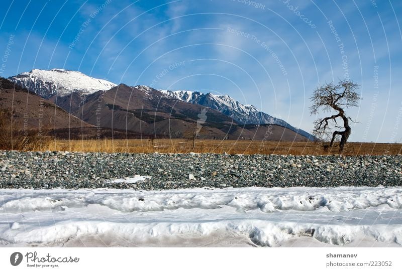 cape Dug in winter with a type on mountain Vacation & Travel Expedition Winter Snow Mountain Environment Nature Landscape Sky Clouds Ice Frost Tree Coast Lake