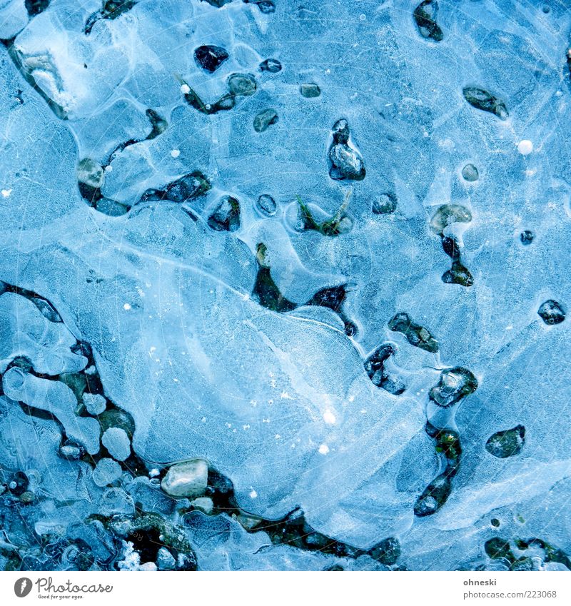 Blue hour Water Winter Weather Ice Frost Puddle Stone Cold Frozen Colour photo Abstract Pattern Evening Copy Space Deserted Background picture