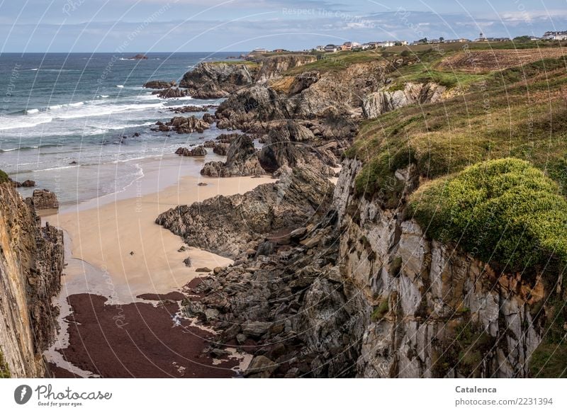 Beach landscape with cliffs Summer Summer vacation Ocean Waves Hiking Landscape Water Horizon Beautiful weather Grass Bushes seaweed Algae Broom Rock Bay Cliff