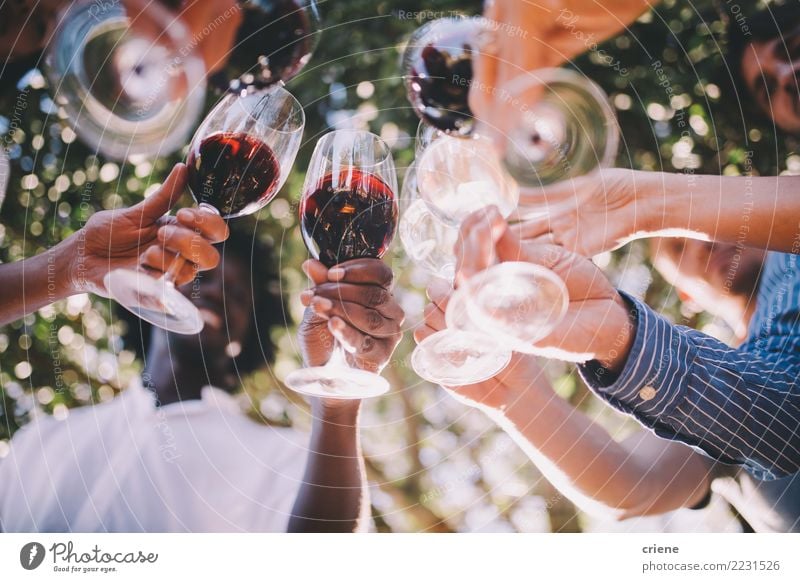 Group of friends toasting with wine glasses at party Drinking Alcoholic drinks Joy Summer Party Event Restaurant Bar Cocktail bar Going out