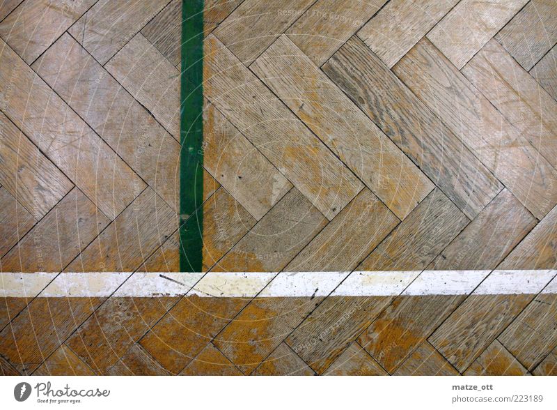 old parquet in the gymnasium Sports Sporting Complex Past School building School sport Wooden floor Parquet floor Pattern Line Volleyball court Floor covering