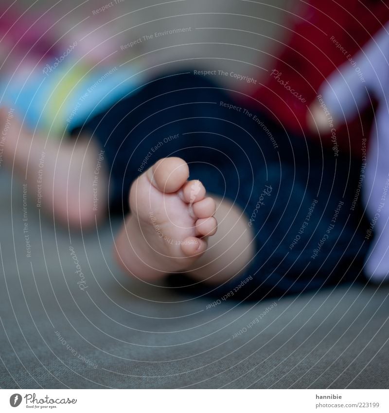 5 small knuckle-toes Child Baby Infancy Feet 0 - 12 months Blue Gray Toes Sole of the foot Barefoot Light heartedness Happiness Colour photo Multicoloured