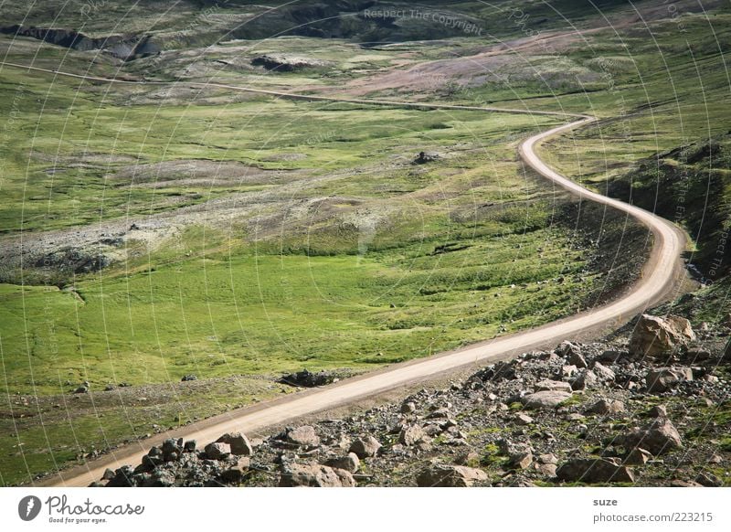 long way Environment Nature Landscape Climate Meadow Street Lanes & trails Exceptional Fantastic Beautiful Target Iceland Valley Colour photo Multicoloured