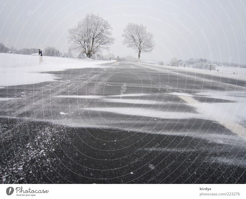 blow snow Landscape Winter Weather Bad weather Wind Gale Ice Frost Snow Street Country road Exceptional Apocalyptic sentiment Cold Snowstorm Asphalt Smoothness