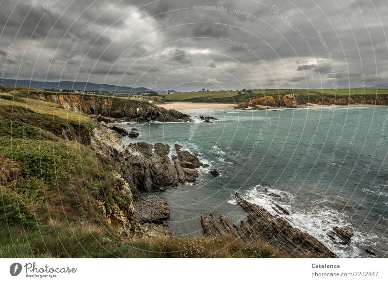 Rocky bay, overcast sky Landscape Sand Water Storm clouds Horizon Summer Bad weather Tree Grass Bushes Meadow Field Hill Waves coast Beach Bay Ocean