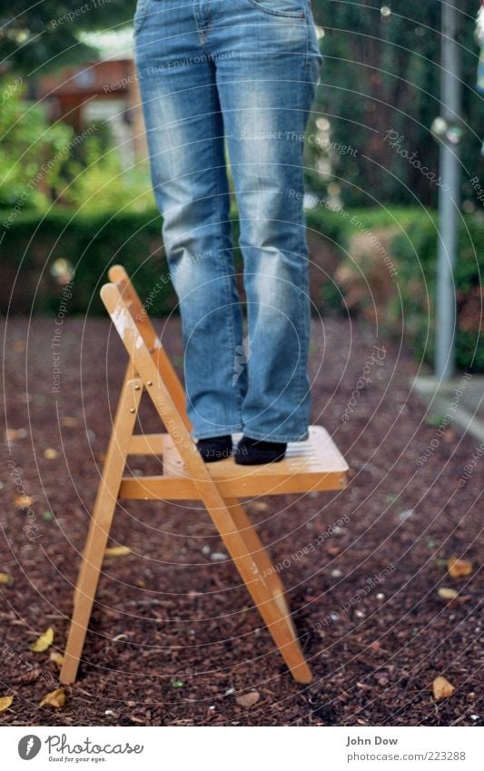 from the pursuit of happiness Woman Adults Legs Feet 1 Human being Beautiful weather Bushes Garden Pants Jeans Stand Curiosity Contentment