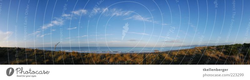 seaside Nature Sand Water Sky Clouds Summer Autumn Beautiful weather Grass Waves Coast Beach Mediterranean sea Tuscany Italy Blue Vantage point Beach dune