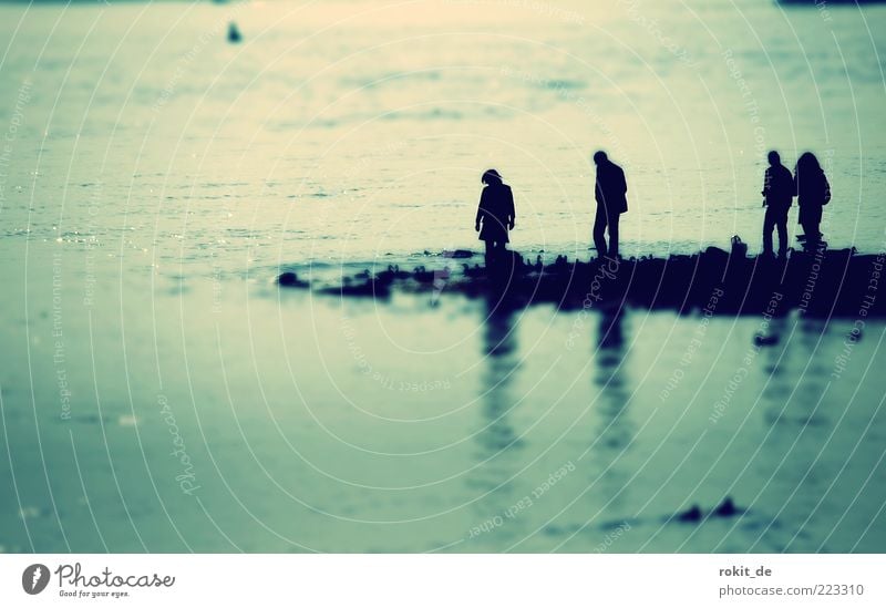 oblivious Human being 4 Coast River bank Bay Discover Rhine Rheingau Buoy Search Eltville Reflection Waves Current Tilt-Shift Subdued colour Exterior shot