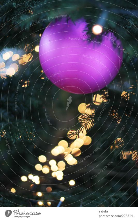 christmas ball in a sea of light Hang Illuminate Glitter Ball Violet Christmas tree Fairy lights Light Colour photo Exterior shot Artificial light