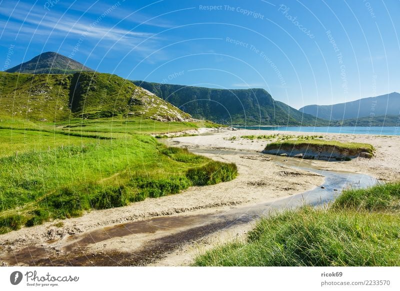 Haukland Beach on Lofoten in Norway Relaxation Vacation & Travel Tourism Ocean Mountain Nature Landscape Water Clouds Rock Idyll Environment Lofotes Nordland