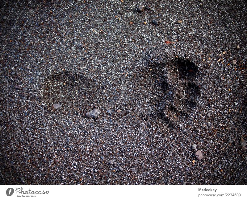 Traces in Sand II Environment Nature Summer Lakeside Beach Esthetic Authentic Exceptional Infinity Uniqueness Small Natural Brown Gray Black White Imprint Elba