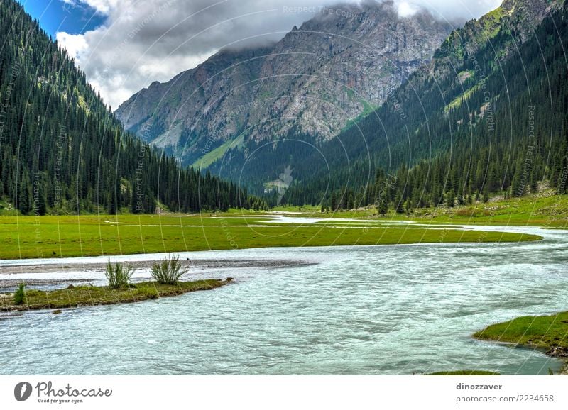 Stunning landscape of Karakol national park, Kyrgyzstan Summer Mountain Nature Landscape Sky Clouds Tree Grass Park Forest Hill Rock Canyon River Transport