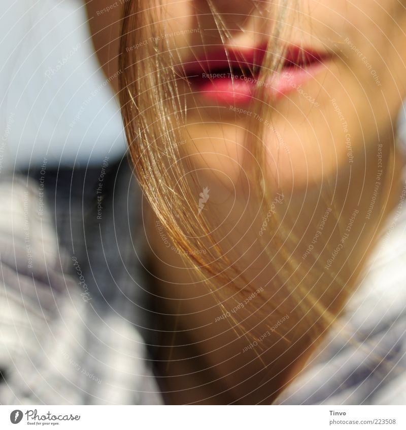 up to the peaks 3 Feminine Mouth Lips 1 Human being Brunette Long-haired Hang Friendliness Beautiful Lipstick Strand of hair Tip of the hair Colour photo