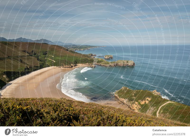 View of the bay of Torimbia Vacation & Travel Summer vacation Beach Group Landscape Plant Water Sky Horizon Beautiful weather Grass Hill Waves coast Bay Observe