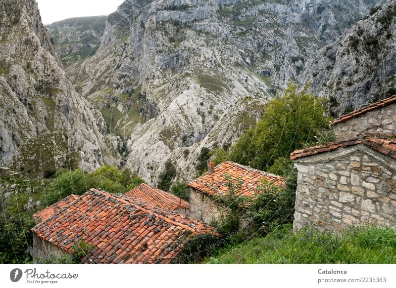 Beyond the mainstream | a village for cattle in the mountains Nature Landscape Grass Bushes Rock Mountain Village House (Residential Structure) Barn