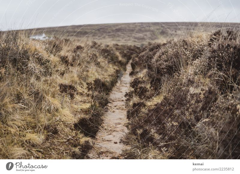 Path in the moor Senses Relaxation Calm Adventure Freedom Expedition Hiking Nature Landscape Plant Sky Autumn Weather Grass Bushes Hill England Lanes & trails