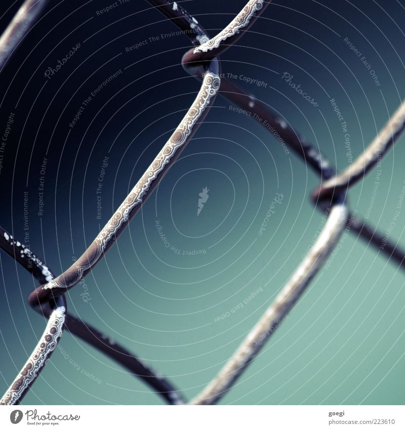 corrosion Fence Wire fence Wire netting fence Metal Old Exceptional Broken Blue Gray Black White Rust Weathered Colour photo Detail Deserted