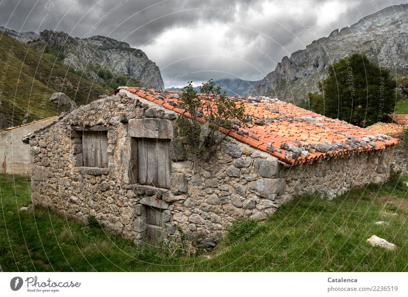 stable Mountain Hiking Landscape Plant Storm clouds Summer Bad weather Tree Grass Meadow Hill Rock Hut Manmade structures Cowshed Stone Wood Old Broken Gray