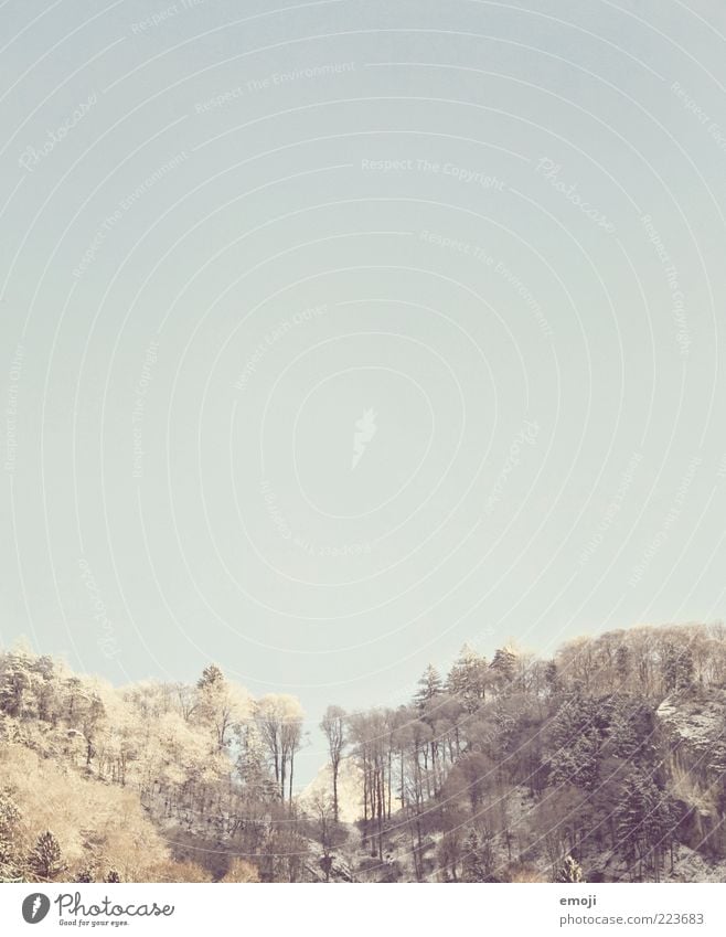 mountain behind Sky Cloudless sky Forest Hill Mountain Sharp-edged Blue Colour photo Exterior shot Copy Space top Copy Space middle Tree Beautiful weather