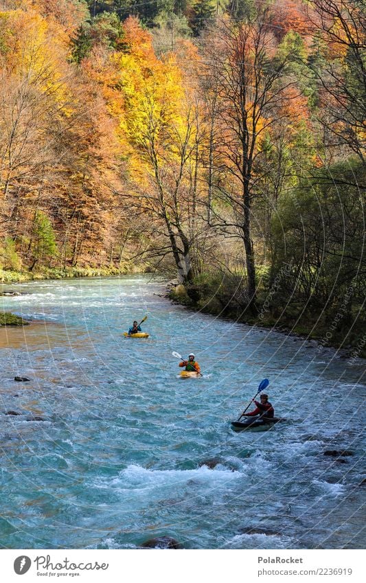 #S# Kayak hiking III Aquatics Swimming & Bathing Alps Hiking Nature Whitewater Water Forest River Autumn Yellow Orange Sports Extreme sports Group Paddling