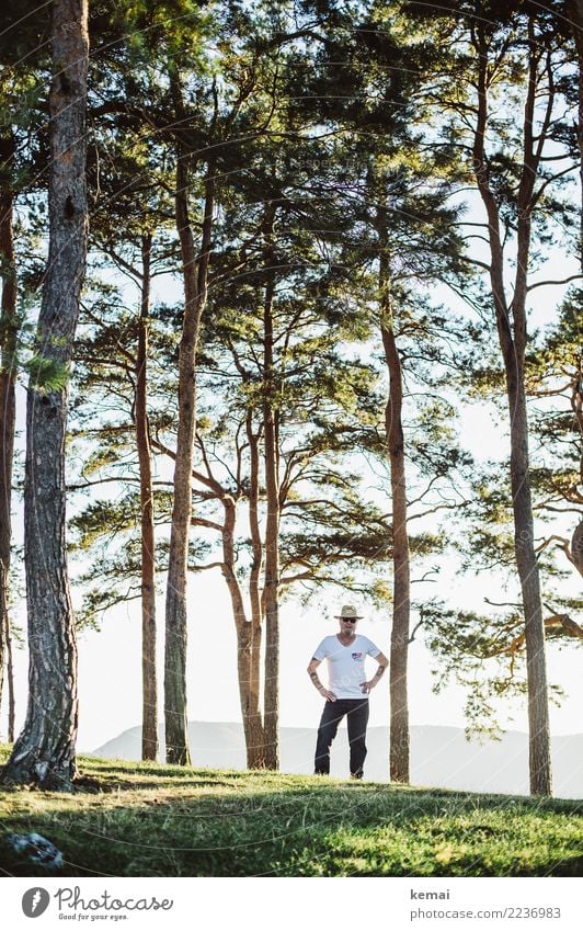 Staying cool under trees Lifestyle Style Harmonious Well-being Contentment Relaxation Calm Leisure and hobbies Adventure Freedom Summer Human being Masculine