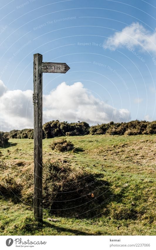 Path. Relaxation Calm Leisure and hobbies Vacation & Travel Trip Adventure Freedom Hiking Environment Nature Landscape Sky Clouds Beautiful weather Grass Bushes