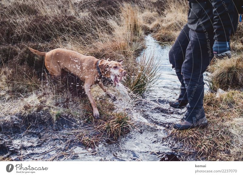 Fun in the Moor Lifestyle Well-being Contentment Leisure and hobbies Playing Trip Freedom Hiking Human being Legs 1 Nature Plant Elements Water Drops of water